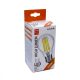 xAvide Led Filament Globe 12W E27 A65 360° NW 4000K HL